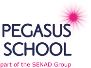 SENAD Pegasus School